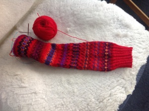 IMG_1008 lynne rettburg's cheerful sock knitting